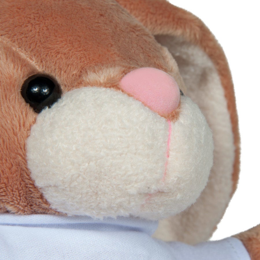 Lapin en peluche Bunny